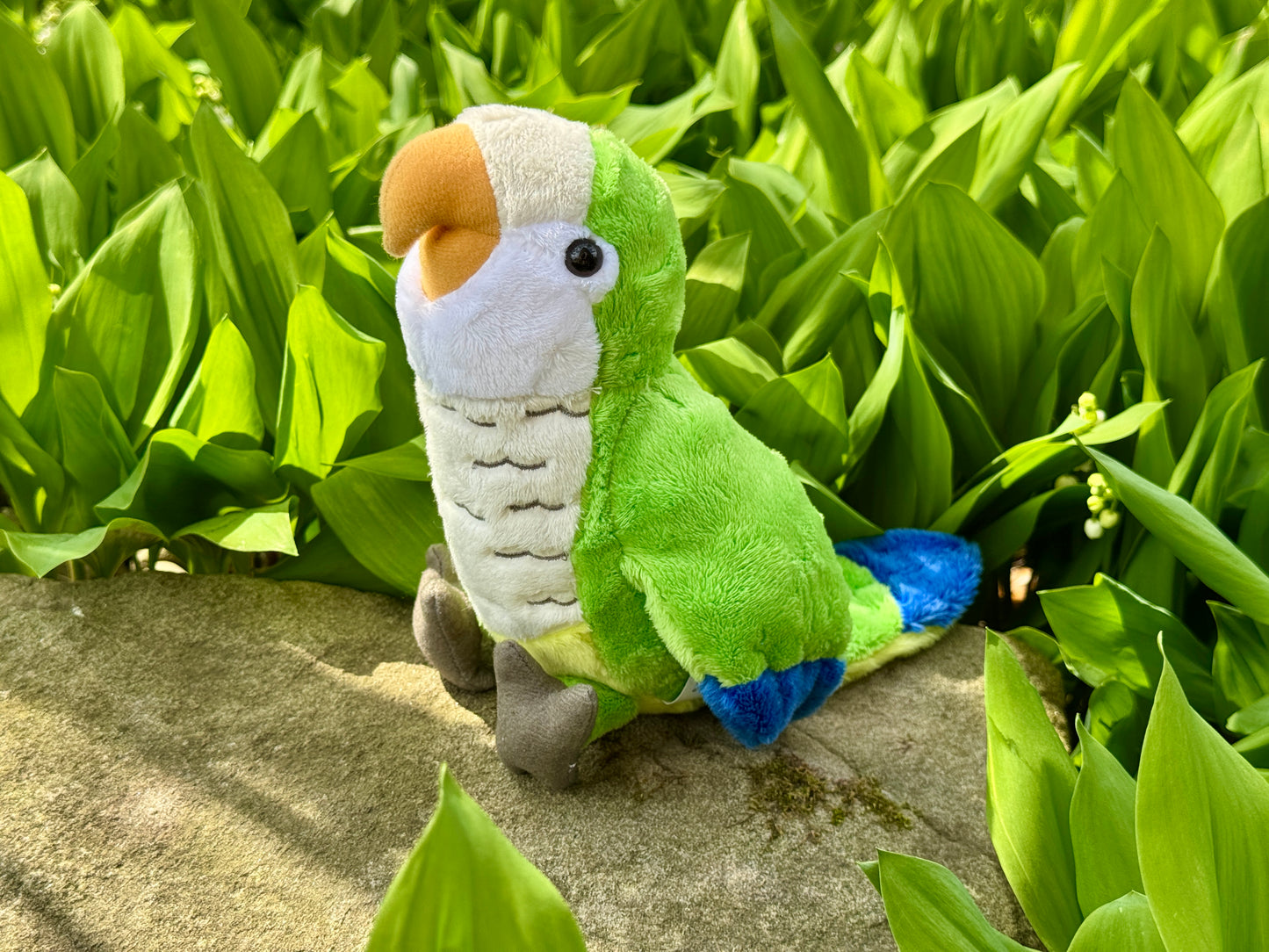 LIMITED EDITION Pauli The 9" Green Quaker Parrot Plush