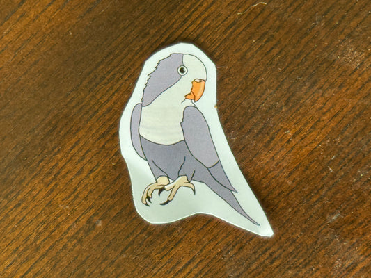 Grey Quaker Parrot Sticker