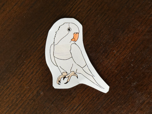 White Quaker Parrot Sticker