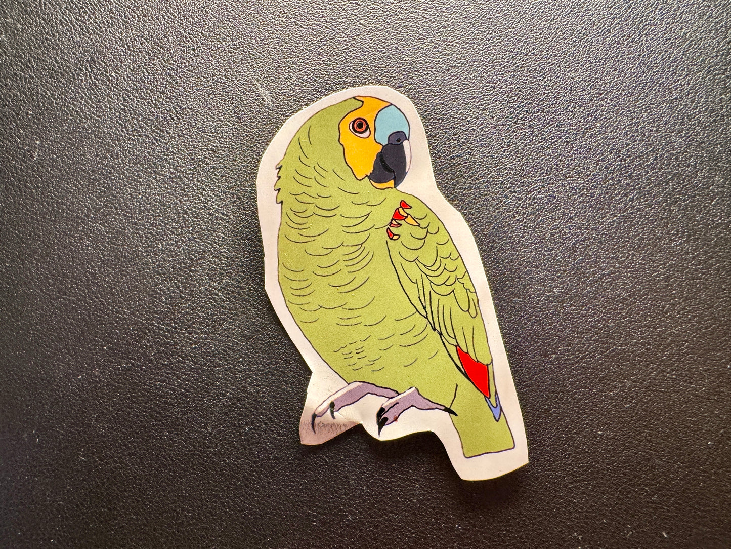 Amazon Parrot Sticker