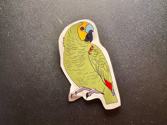 Amazon Parrot Sticker