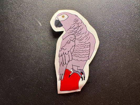 African Grey Parrot Sticker