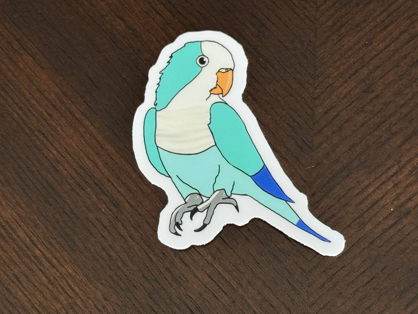 Blue Quaker Parrot Sticker