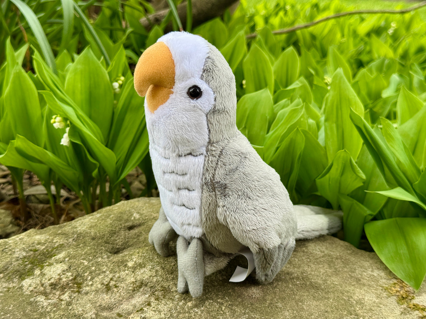LIMITED EDITION Shadow The 9" Grey Quaker Parrot Plush
