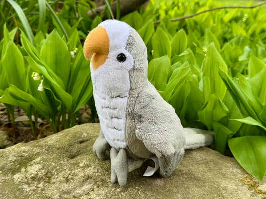 PRE-ORDER LIMITED EDITION Shadow The 9" Grey Quaker Parrot Plush