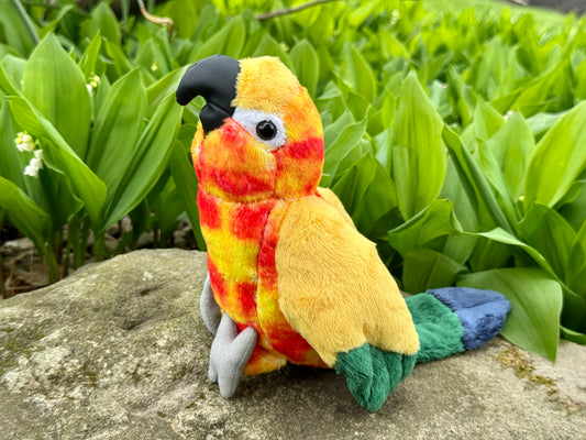 PRE-ORDER LIMITED EDITION Sunset The 9" Sun Conure Plush