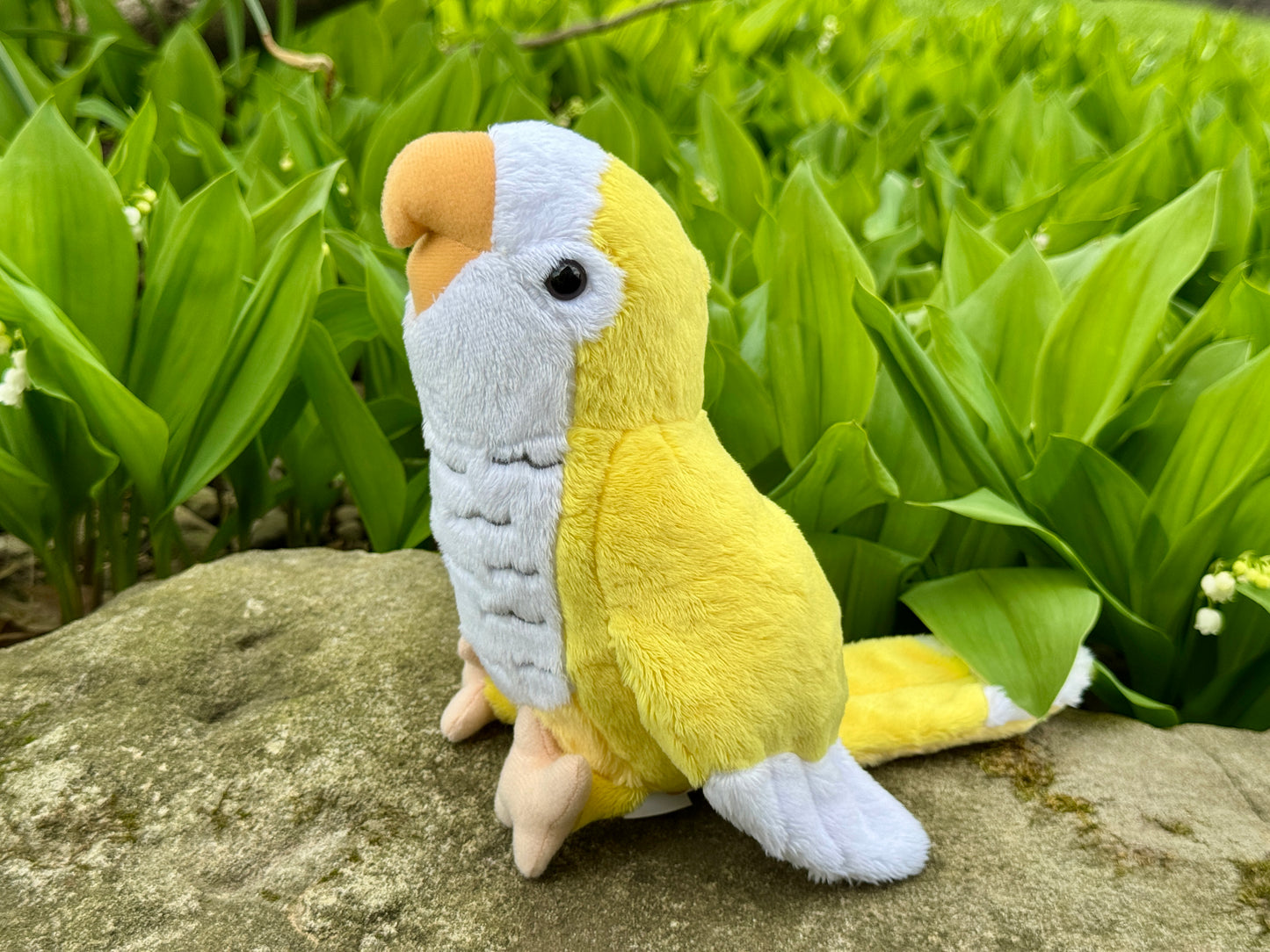 LIMITED EDITION Angel The Yellow Quaker Parrot Plush